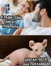 2026-09-11_103219.png 2026-09-11_103219.png
