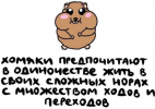 2026-09-14_092626.png