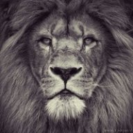 Амир Король
