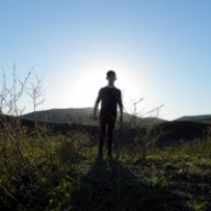 DmitryStark
