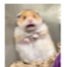 Jonym