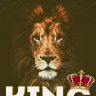 KING42O
