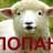 Попанские игры