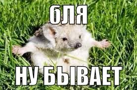 p7Q7j5bIUdo.jpg