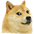 Doge Smile_7 Smile_7